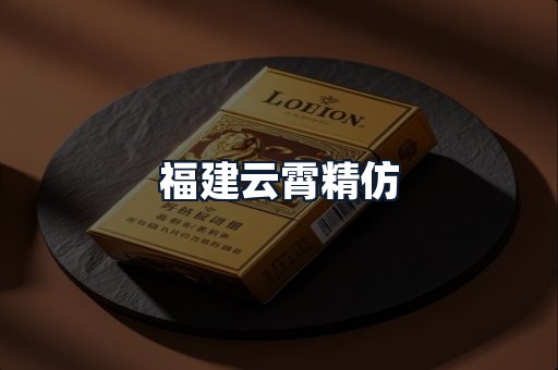 福建云霄精仿